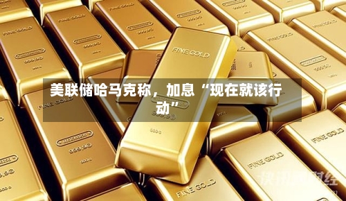 美联储哈马克称，加息 “现在就该行动”-第2张图片