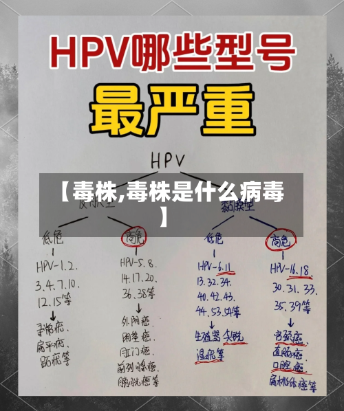【毒株,毒株是什么病毒】