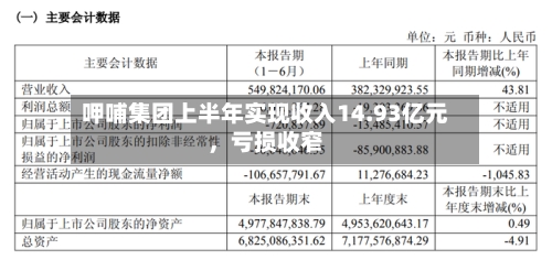 呷哺集团上半年实现收入14.93亿元，亏损收窄-第2张图片