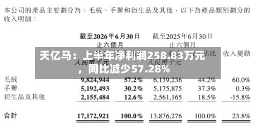 天亿马：上半年净利润258.83万元，同比减少57.28%