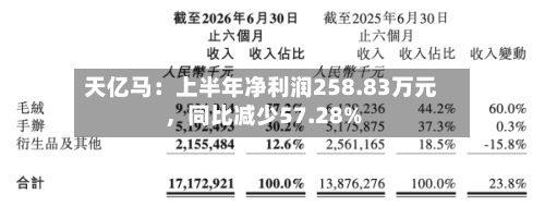 天亿马：上半年净利润258.83万元，同比减少57.28%-第2张图片