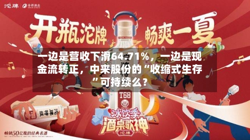一边是营收下滑64.71%，一边是现金流转正	，中来股份的“收缩式生存	”可持续么？-第2张图片