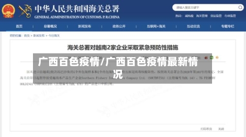 广西百色疫情/广西百色疫情最新情况-第3张图片