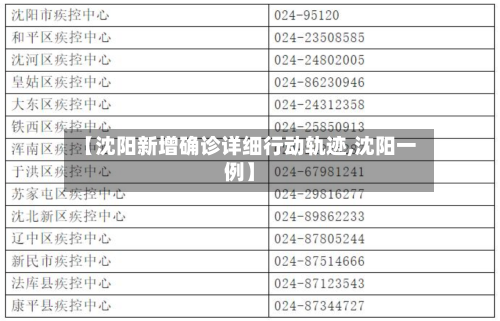 【沈阳新增确诊详细行动轨迹,沈阳一例】-第3张图片
