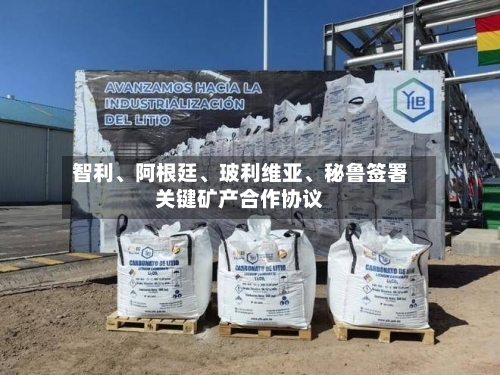 智利	、阿根廷、玻利维亚、秘鲁签署关键矿产合作协议-第3张图片