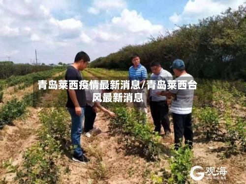 青岛莱西疫情最新消息/青岛莱西台风最新消息-第3张图片