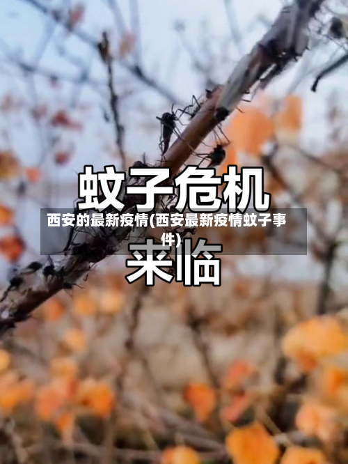 西安的最新疫情(西安最新疫情蚊子事件)-第2张图片