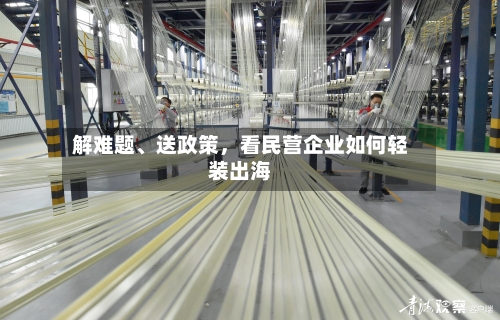 解难题、送政策，看民营企业如何轻装出海-第2张图片