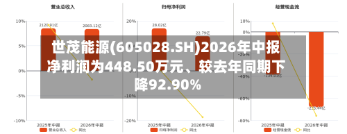 世茂能源(605028.SH)2026年中报净利润为448.50万元、较去年同期下降92.90%-第3张图片
