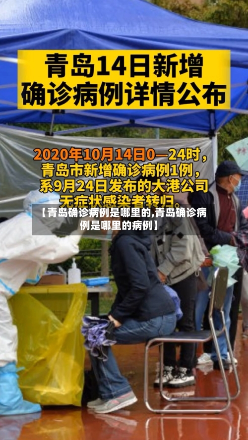 【青岛确诊病例是哪里的,青岛确诊病例是哪里的病例】-第2张图片