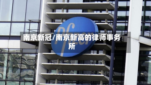 南京新冠/南京新高的律师事务所-第2张图片