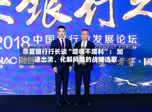 华夏银行行长谈“增收不增利	”： 加速出清、化解风险的战略选取-第2张图片