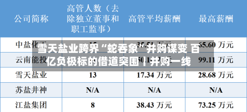 雪天盐业跨界“蛇吞象”并购谋变 百亿负极标的借道突围丨并购一线-第2张图片
