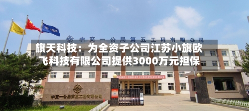 旗天科技：为全资子公司江苏小旗欧飞科技有限公司提供3000万元担保-第2张图片
