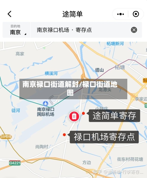 南京禄口街道解封/禄口街道地图-第2张图片