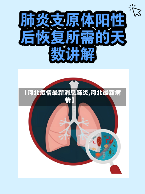 【河北疫情最新消息肺炎,河北最新病情】-第2张图片