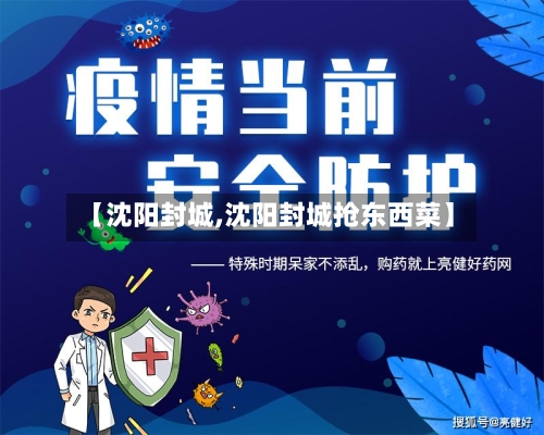 【沈阳封城,沈阳封城抢东西菜】-第3张图片