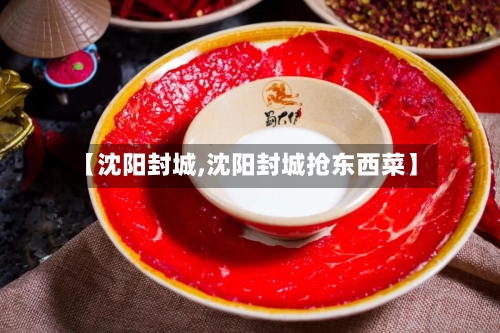 【沈阳封城,沈阳封城抢东西菜】-第2张图片