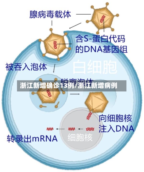 浙江新增确诊13例/浙江新增病例-第3张图片