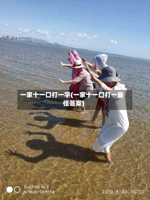 一家十一口打一字(一家十一口打一最佳答案)