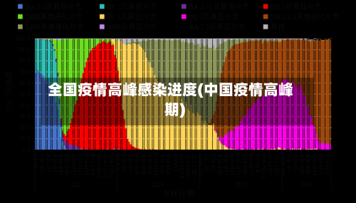 全国疫情高峰感染进度(中国疫情高峰期)-第3张图片