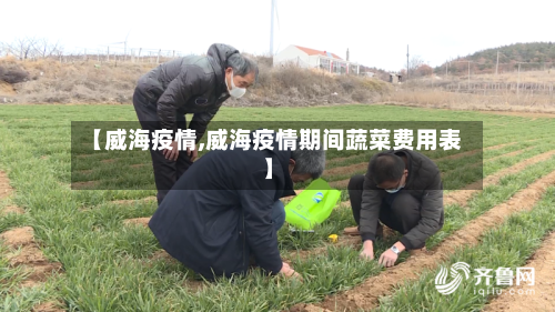 【威海疫情,威海疫情期间蔬菜费用表】