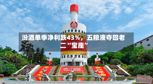 汾酒单季净利跌43%，五粮液夺回老二“宝座”