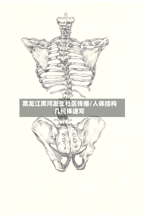 黑龙江黑河发生社区传播/人体结构几何体速写-第2张图片
