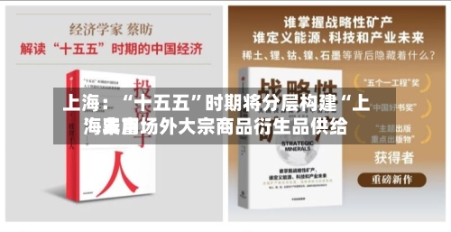 上海：“十五五”时期将分层构建“上海费用” 丰富场外大宗商品衍生品供给