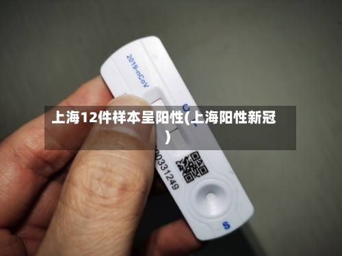 上海12件样本呈阳性(上海阳性新冠)-第2张图片