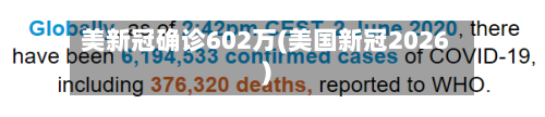 美新冠确诊602万(美国新冠2026)-第2张图片