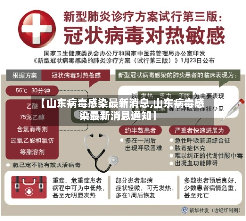 【山东病毒感染最新消息,山东病毒感染最新消息通知】