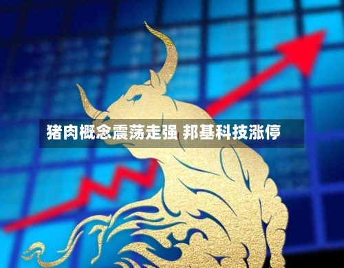 猪肉概念震荡走强 邦基科技涨停-第2张图片