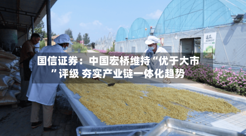国信证券：中国宏桥维持“优于大市”评级 夯实产业链一体化趋势-第3张图片