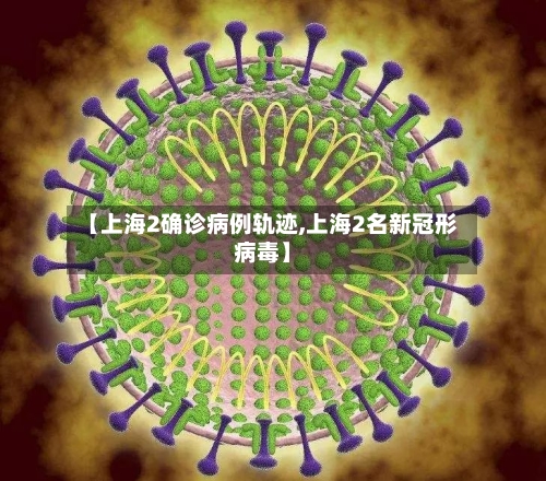 【上海2确诊病例轨迹,上海2名新冠形病毒】-第3张图片