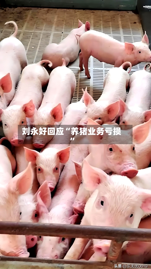 刘永好回应“养猪业务亏损”-第2张图片