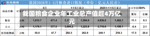 我国粮食企业年工业总产值超4万亿元-第3张图片