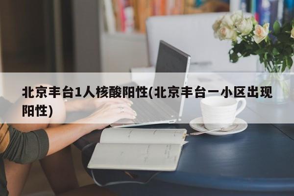 北京丰台1人核酸阳性(北京丰台一小区出现阳性)