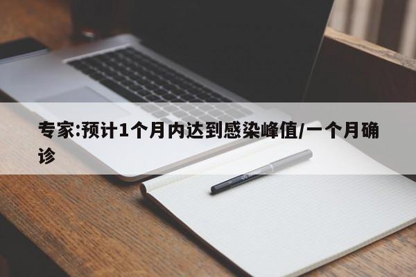 专家:预计1个月内达到感染峰值/一个月确诊
