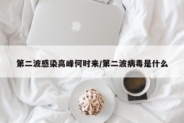 第二波感染高峰何时来/第二波病毒是什么