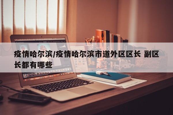 疫情哈尔滨/疫情哈尔滨市道外区区长 副区长都有哪些