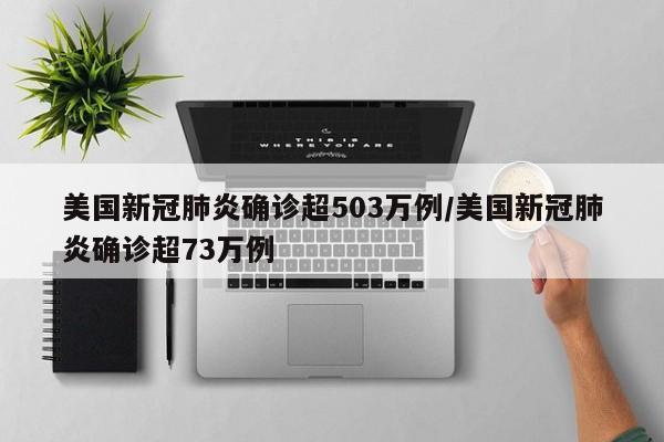美国新冠肺炎确诊超503万例/美国新冠肺炎确诊超73万例