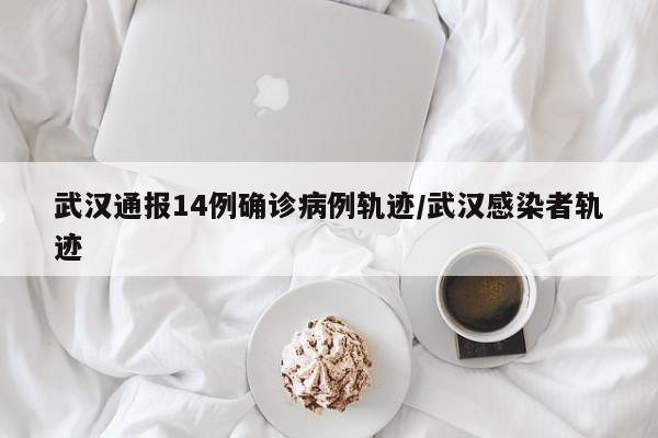 武汉通报14例确诊病例轨迹/武汉感染者轨迹