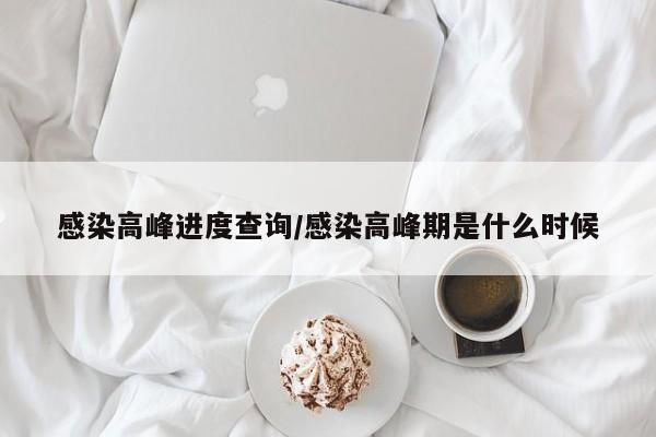 感染高峰进度查询/感染高峰期是什么时候