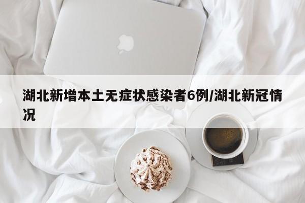 湖北新增本土无症状感染者6例/湖北新冠情况