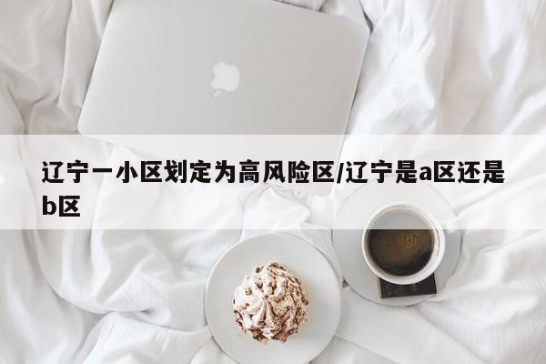 辽宁一小区划定为高风险区/辽宁是a区还是b区