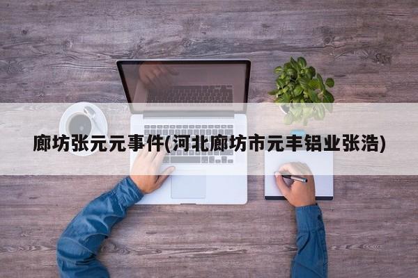 廊坊张元元事件(河北廊坊市元丰铝业张浩)