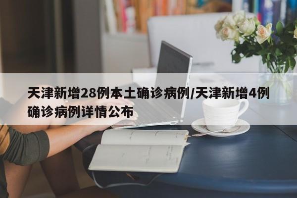 天津新增28例本土确诊病例/天津新增4例确诊病例详情公布