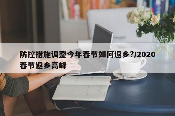 防控措施调整今年春节如何返乡?/2020春节返乡高峰