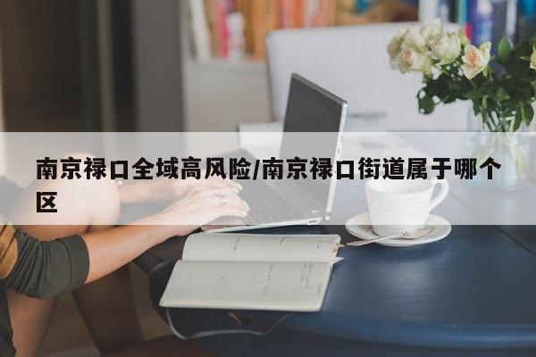 南京禄口全域高风险/南京禄口街道属于哪个区